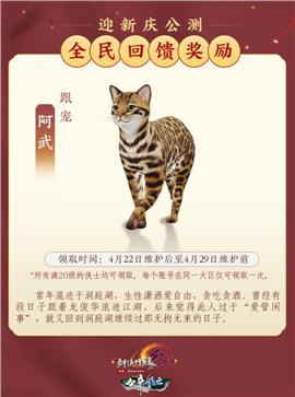 永久私服天龙八部